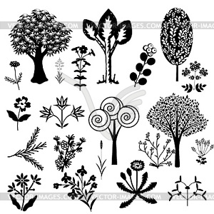 Set of decorative plants - vector image