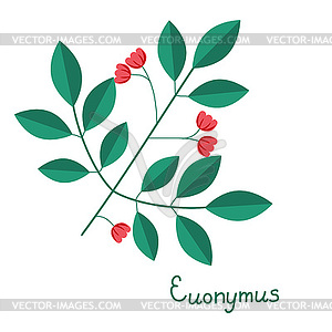 Spindle branch - vector image