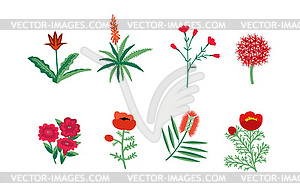 Set of red flowers - vector image