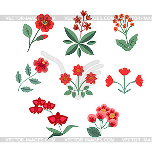 Red flowers set - vector clipart