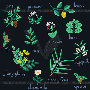 Set of flowers - vector clipart