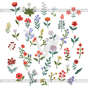 Flowers set - vector image