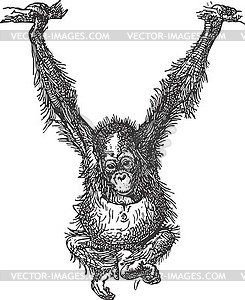 Орангутанг на ветке дерева - изображение в векторе / векторный клипарт