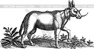 Rhinoceros dog chimera, engraving - vector image