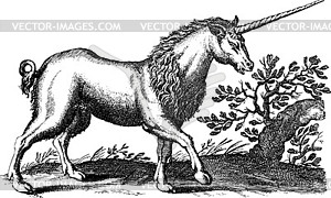 Unicorn lion chimera, engraving - vector image