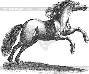 Horse jumping - black and white sketch - vector clipart / vector image