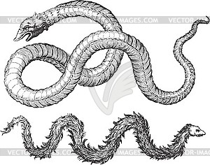 Set of fantastic snakes - white & black vector clipart