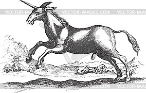 Unicorn running, engraving - vector image