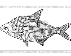 Common bream fish (Abramis brama) - white & black vector clipart