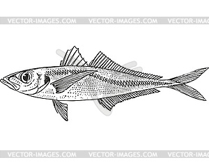 Common scad fish (Trachurus trachurus) - vector clip art