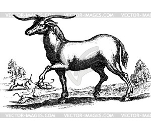 Antelope on grass - vector clipart