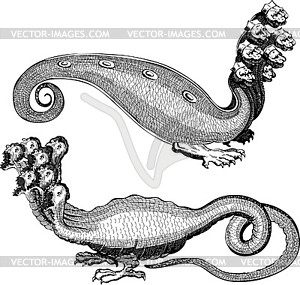 Multi headed hydras - royalty-free vector clipart
