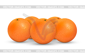 Апельсины - векторный клипарт