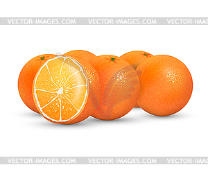 Oranges - vector clipart