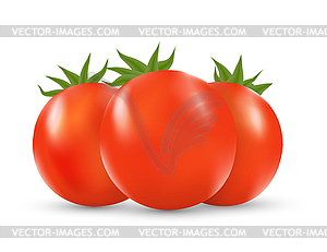 Tomato - vector clipart