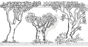 Deciduous trees black white on background - vector clipart