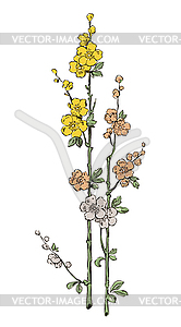 Decorative floral plant, branches with flowers - vector image