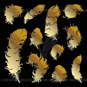 Beautiful Vintage Feathers - vector clip art