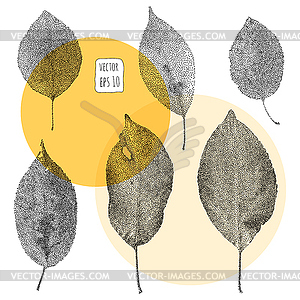 Leaves. Pattern with leaf - color vector clipart