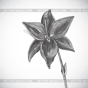 Flower. Black and white Dotwork - vector clip art