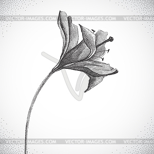 Flower. Black and white Dotwork - vector clipart