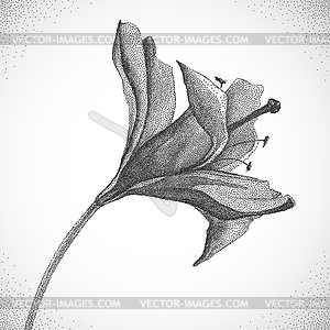 Flower. Black and white Dotwork - vector image