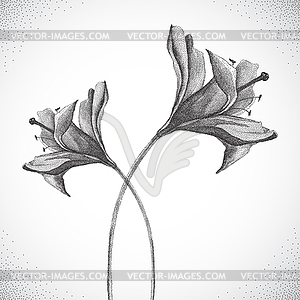 Flower. Black and white Dotwork - vector image