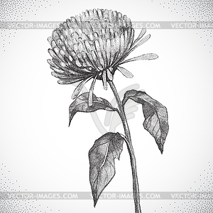 Flower. Black and white Dotwork - vector clipart