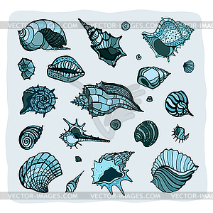 Collection of seashells - vector image