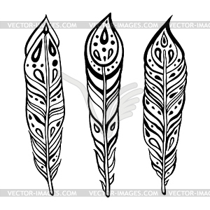 Vintage ethnic feathers - vector image