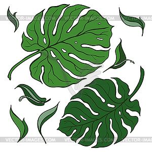 Tropical Set, palm leaves - vector clip art