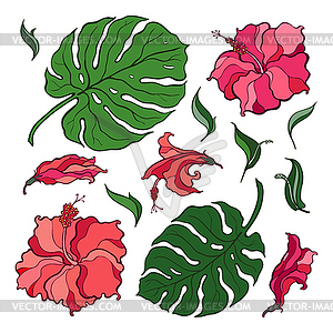 Tropical Set. Flowers and palm leaves - vector clipart