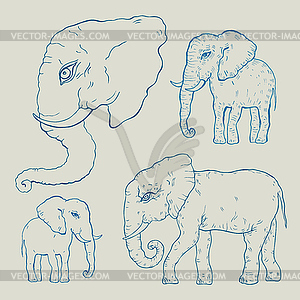 Elephant - vector clipart