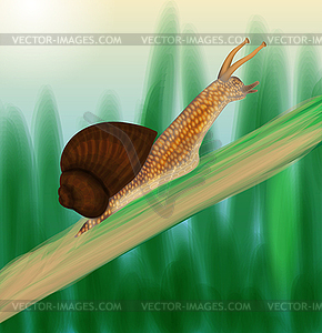Snail crawling on stem - vector clipart