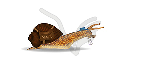 Улитка почты концепции. Улитка с буквой и почтальона - векторная графика