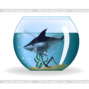 Big dangerous looking shark in small aquarium - vector clipart