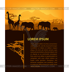 African animals silhouettes in sunset design - vector clipart