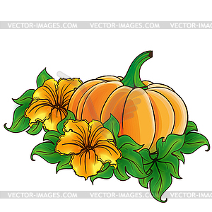 Pumpkin and flowers - vector EPS clipart