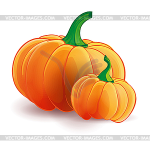Two pumpkins isolated. Big and small - stock vector clipart