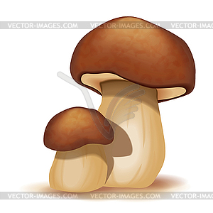 Two ceps - vector image