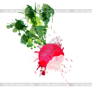 Radish made of colorful splashes - vector clip art