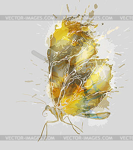 Golden grunge butterfly - vector image