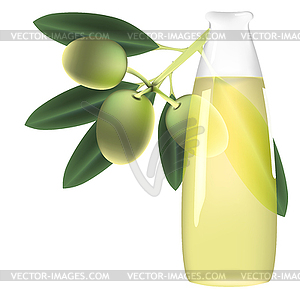 Olive branch and bottle of oil - vector image