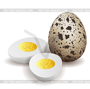 Boiled quail eggs - vector clip art