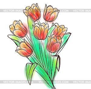 Watercolor tulips bouquet - vector image