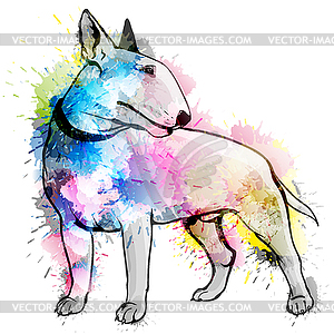 Bull terrier grunge - vector clip art