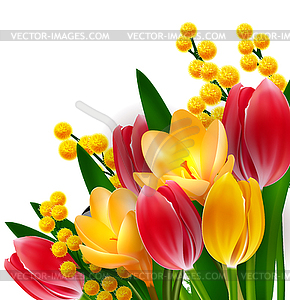 Тюльпаны и мимозы шаблон - изображение в векторном формате