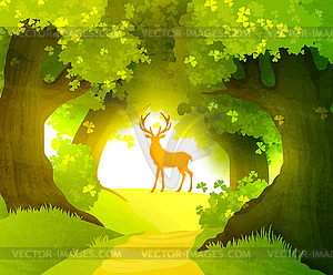 Deer in magic forest standing in front of rising sun - vector image