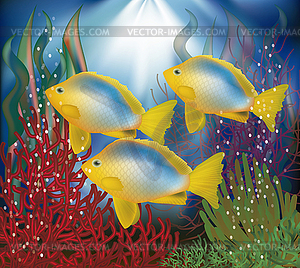 Underwater wallpaper with tropical fish, vector  - vector image