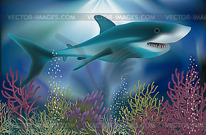 Подводные обои с белой акулы, вектор - цветной векторный клипарт